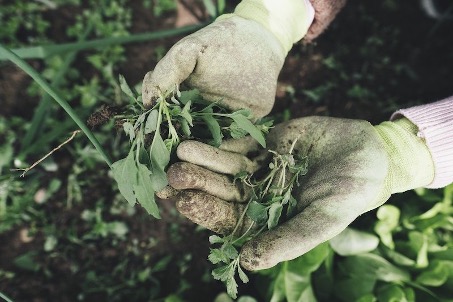 Goedkoop je tuin opknappen? Zo pak je het aan