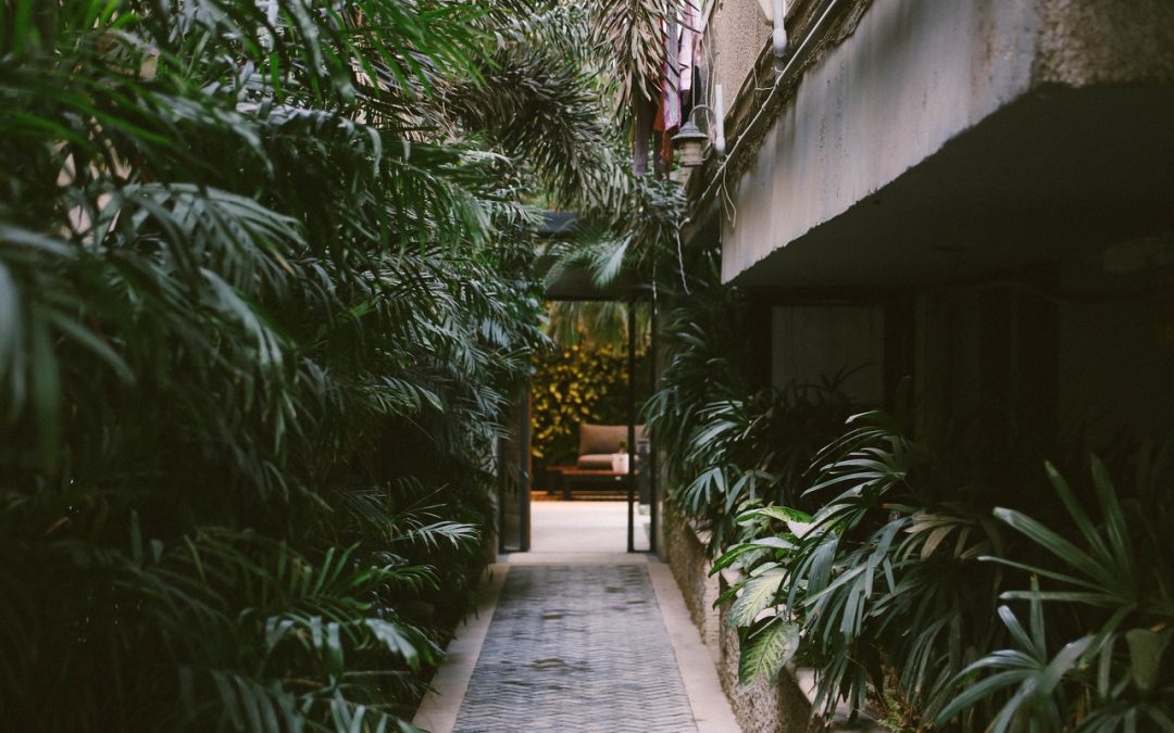 Bij een duurzaam huis hoort een duurzame tuin