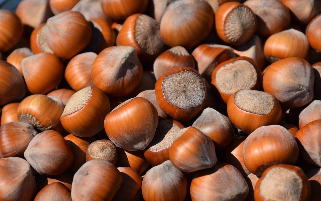 Overzicht van zaden voor de moestuin